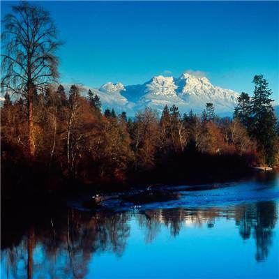 大发彩票www官方网址版